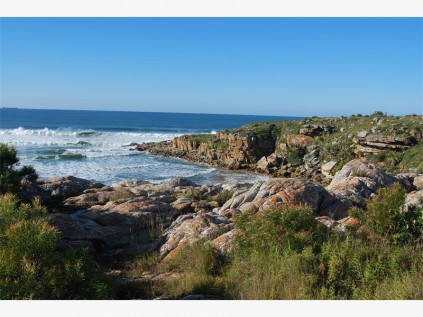 We have the Wild Coast on our doorstep.