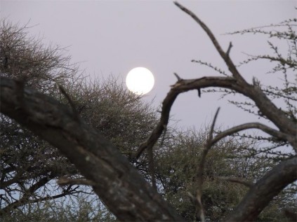 Full moon rising over Motswedi Camping ground.
