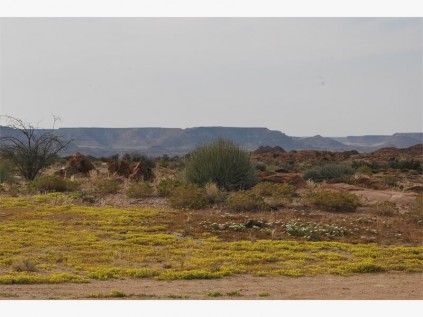 The arid region flora is interesting.