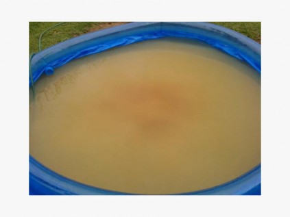 The water once the the pool was filled.