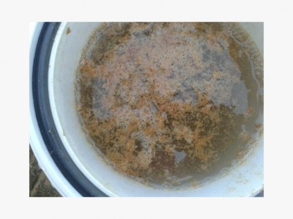The pool's filter after a few hours.