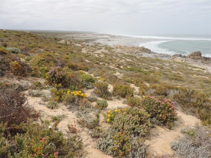 Sea view.