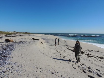 Unspoilt West Coast beach.