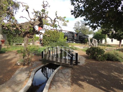 A Class 24 steam locomotive in the Calvinia Museum garden.