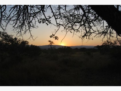 The lovely Mkhuze game reserve is part of the iSimangaliso Wetland Park. PHOTO BY JUDI DAVIS