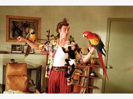Angela could get some tips from Ace Ventura.