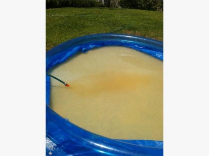 Not exactly the colour you want your pool water to be.