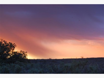 The arid Tankwa is blessed with rain..