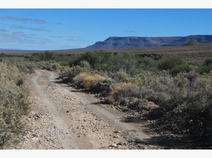 Some parts of the arid park were looking decidedly green.