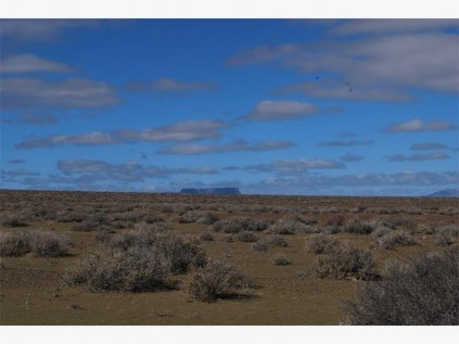 A stark Tankwa landscape.
