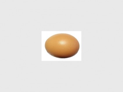 Boiled eg_543436840