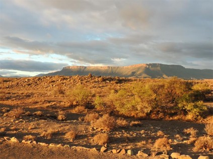 Golden late afternoon sunlight.