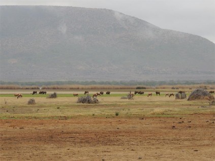 The game rich shores.