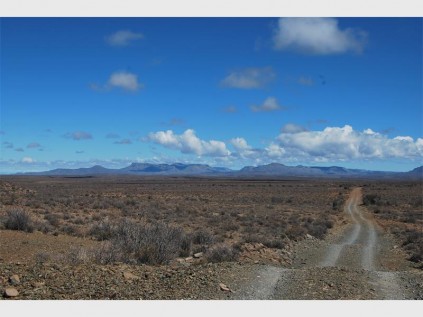Flatter and drier, the Potlekkertjie area is beautiful in its own way.