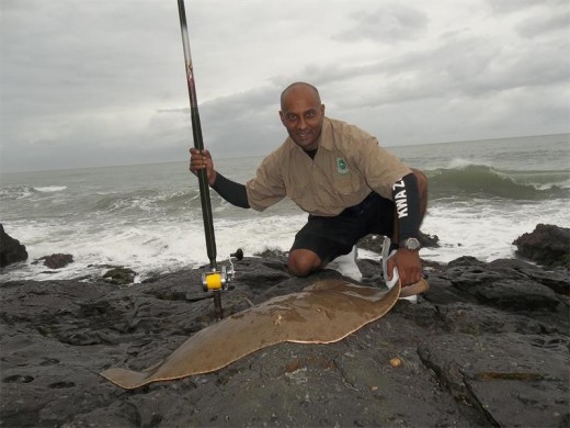 Pleased: Des Govender with a diamond skate caught in the Transkei recently.