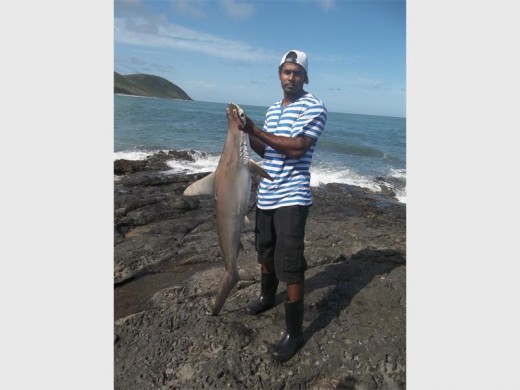 Rookie: Pregasan Govender, a keen Liverpool supporter despite his Everton colours, with his first hammerhead shark caught and landed in Port St Johns recently.