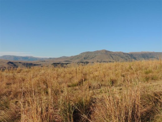 Winter in the Drakensberg.