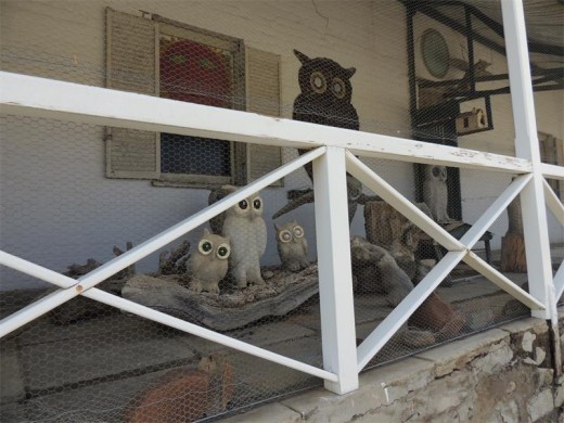 The Owl House verandah.