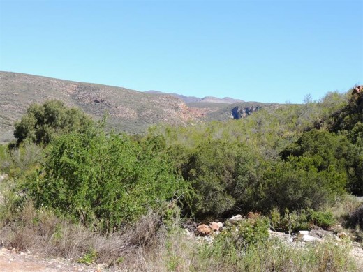 A view from the farm campsite.