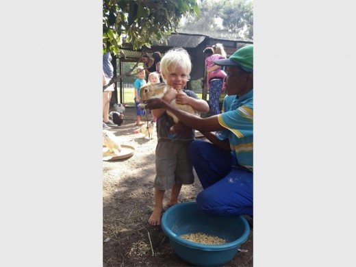Southcity pre-primary pupil Cohen Maartens loved visiting and playing with the rabbits at Fiddlewood Farm.