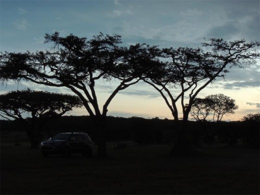 A lovely day at Spioenkop Nature Reserve draws to a close.