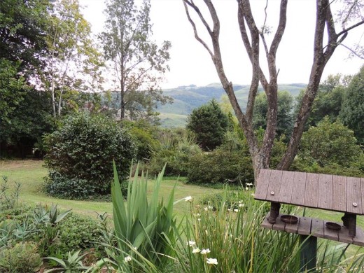 View from our cottage.