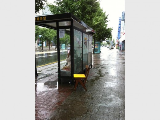 The rainy bus stop.