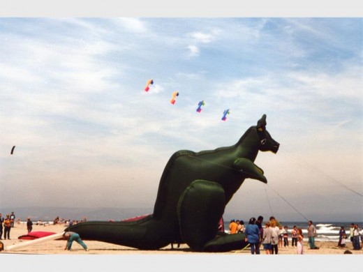 This giant kangaroo kite attracted plenty of attention at a Cape Town kite festival.