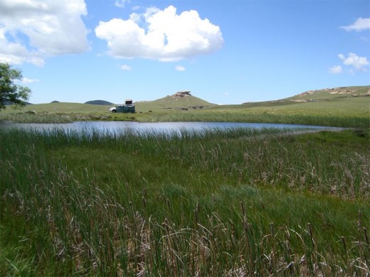 A perfectly lovely spot to camp.