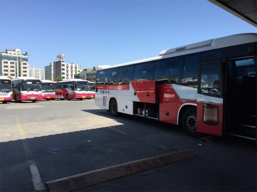 Sandhira meets Korean bus driver...
