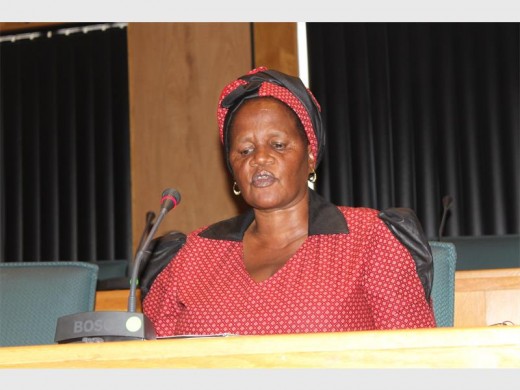 Harding mayor, Councillor Dixie Nciki, during a press meeting this week.