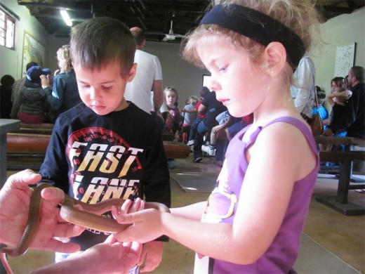 Caleb Olding (left) and Zjizelle Landsberg.