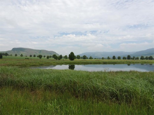 Loskop Dam.