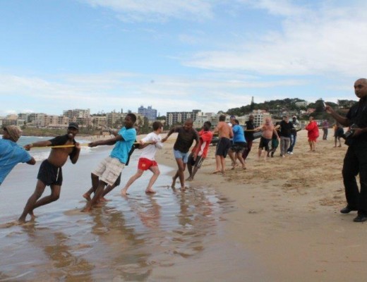 Sardine fever hits the coast.
