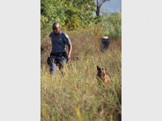 Members of the dog unit search the scene for evidence. PHOTO BY VEE RAMSAYI.
