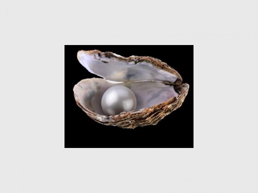 Pearl-of-great-Price_80117