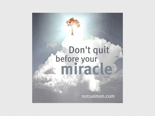 miracle_21792
