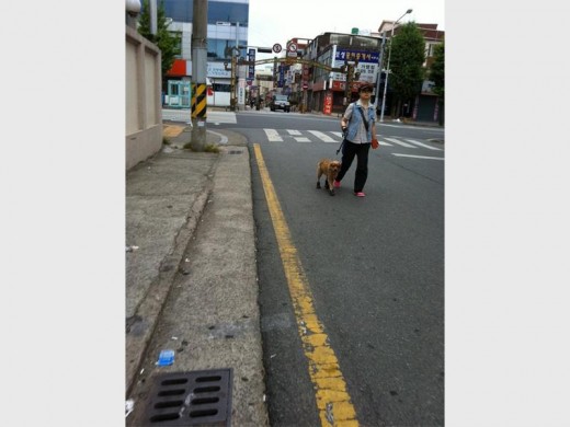 The woman and her _599170119