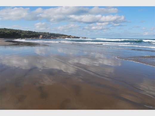 The beauty of an untouched shoreline.