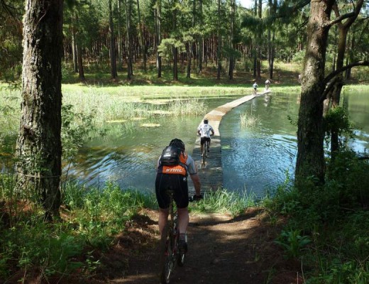 Ingeli Forest is a popular biking destination.