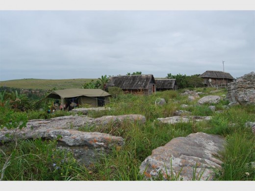 The lodge buildings blend in with their surroundings.