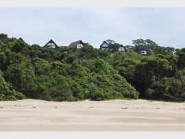 The chalets, perched on a rise and almost hidden by the dense vegetation.