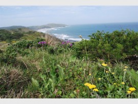 The flower-filled hills of Hluleka.