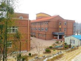 The school buildings.