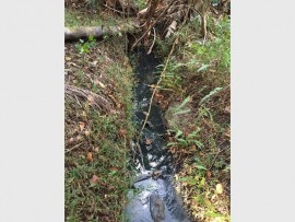 Nothing has been done about the sewage spill in Port Edward.