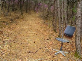 An abandoned chair.