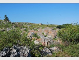 Rocky outcrops protect vegetation from fire.