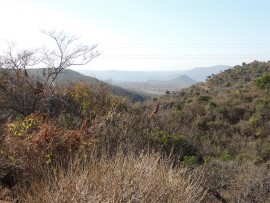 A more undulating section of the reserve.