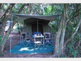 The comfy rustic campsite.