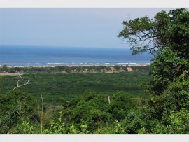 The Inyoni river, trapped behind sand dunes.